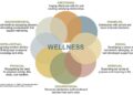 A Holistic Approach to Mental Health Wellness | Resources To Recover